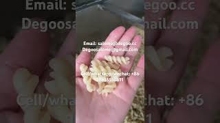 DG95 Potato pellets spiral extruder machine potato twirls pasta macaroni snack pellets machine [upl. by Krute]