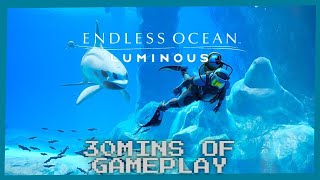 30 Minutes Of Endless Ocean Luminous Gameplay [upl. by Nonek]