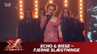 ECHO amp Bisse synger ’Fjerne slægtninge’  Bisse Live  X Factor 2019  TV 2 [upl. by Virnelli]