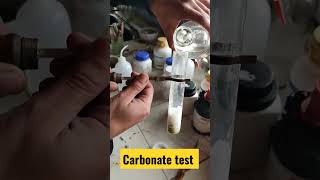 salt analysis Carbonate test class12 chemistry [upl. by Noryahs]