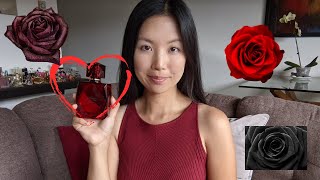 PERFUME REVIEW  Fatale Intense by Agent Provocateur  My Impressions on this perfume [upl. by Ahsyak]