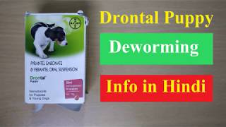 Drontal Puppy Deworming Medicine Information in Hindi [upl. by Aslin]