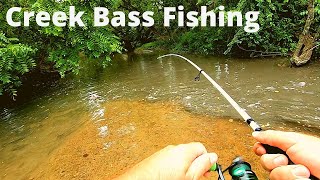 Bass Fishing in SMALL Creeks How to and My Helpful Tips [upl. by Pennington]