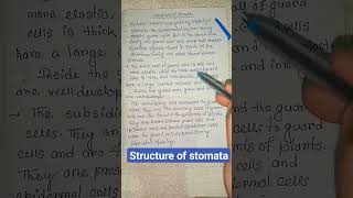 structure of stomata  stomata diagram physiology biology ytshorts shortsfeed shortstrending [upl. by Frohman]