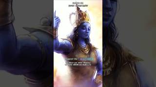 Bhagavad Gita Adhyay 8 shloka 25 Krishna Gyan bhagavadgita sanatan shortvideo [upl. by Tinya386]