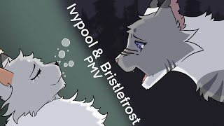 Ivypool  Shes Not a Bad Kid PMV [upl. by Yleme359]