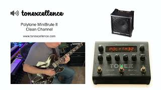 Tonexcellence  ToneX Presets  POLYTONE MINI BRUTE II JAZZ GUITAR AMPLIFIER [upl. by Boffa451]