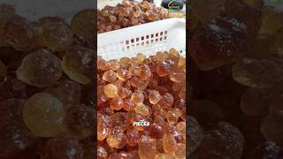 How the Chinese turn peach tree resin into a dish peachgum peach shorts [upl. by Astiram153]