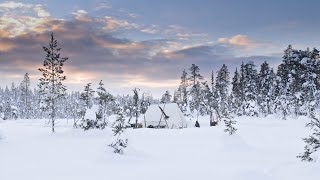 Lessons From Applying The North American Winter Camping Style In the Scandinavian Boreal Forest [upl. by Roee]