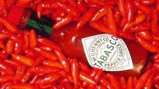 Top 10 Untold Truths of Tabasco [upl. by Batruk]