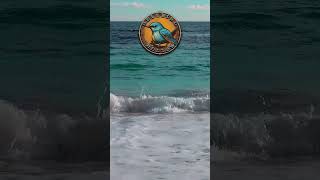 Relaxing Ocean Waves inspiration motivation [upl. by Salamanca]