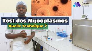 Guide pratique pour détecter Ureaplasma urealyticum et Mycoplasma hominis [upl. by Earased]