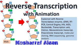 ‍রিভার্স ট্রান্সক্রিপশন কিভাবে RNA হতে DNA সৃষ্টি হয় [upl. by Eerized]