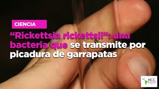 “Rickettsia rickettsii” una bacteria que se transmite por picadura de garrapatas [upl. by Nnayrb]