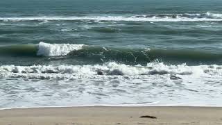 Atlantic beach coconut point melbourne beach florida zenbeachseconds [upl. by Rosecan]