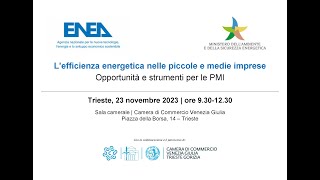 L’efficienza energetica nelle piccole e medie imprese  Trieste 23 novembre 2023 [upl. by Lockhart303]