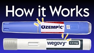 How Ozempic Works A Complete Guide [upl. by Curcio597]