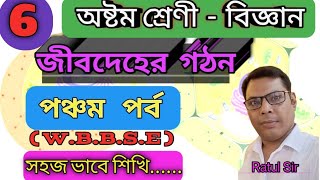 WBBSE Class 8 Science Ch 6Jibdeher GathonPart 5৮ম শ্রেণী বিজ্ঞানঅধ্যায়৬ জীবদেহের গঠন৫ম পর্ব [upl. by Nwahshar]