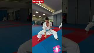 Karate Group Kata Practice amp Training karate sports olympics shorts coach japan india usa [upl. by Sitoel900]