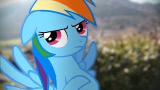 Rainbow Dashs Precious Book  Part 4 MLP in real life [upl. by Altheta963]