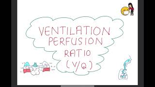 VENTILATION PERFUSION VQ MISMATCH  Compensatory mechanisms of VQ mismatch [upl. by Ardnyk]