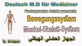 Bewegungssystem  Fachbegriffe  Fachsprache leicht gemacht المصطلحات الطبية  الجهاز الحركي [upl. by Anizor]