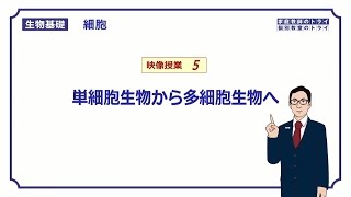 【生物基礎】 細胞5 単細胞生物→多細胞生物 （１４分） [upl. by Rennie]