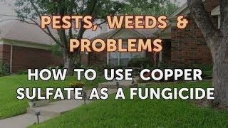 How to Use Copper Sulfate As a Fungicide [upl. by Burger]