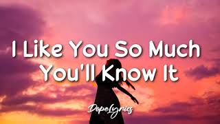 I Like You So Much Youll Know It  Ysabelle Cuevas Lyrics [upl. by Marcin]