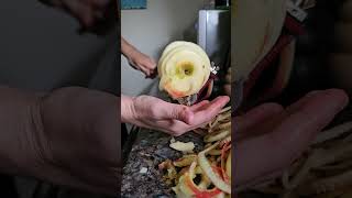 Honeycrisp apple pie prepping [upl. by Innattirb]