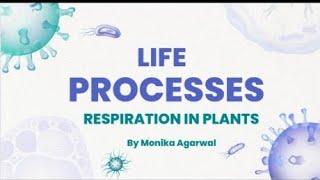 Life Processes  Respiration in Plants  Class 10  Part III  Monika Agarwal [upl. by Huey866]