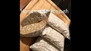 Homemade Tempeh without dehulled  easy method and fast  tasty vegan and vegetarian friendly [upl. by Geldens]