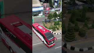 Bus borlindo keluar dari karoseri new armada bus automobile bussulawesi autobús busmania yol [upl. by Carmelina416]