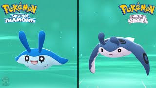 How to Find Mantyke amp Evolve Into Mantine in Pokemon Brilliant Diamond amp Shining Pearl [upl. by Farlay]