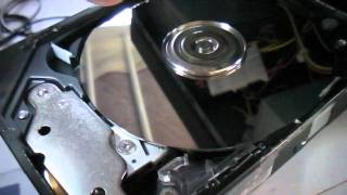 Maxtor 2F020J0 Hard Disk Drive Exposed [upl. by Enymsaj]