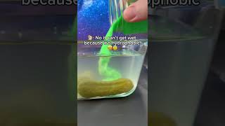 Pickled gherkins 🥒🤮 aqua sand hydrophobic pickledgherkin [upl. by Yrokcaz454]