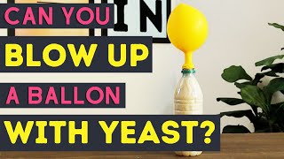 Yeast Balloon Experiment [upl. by Peery]