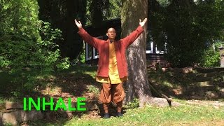 Qi Gong Breathing 7 Minutes to calm body and mind [upl. by Gussi847]