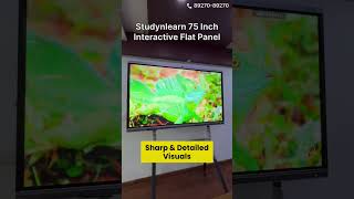 Best Interactive Flat Panel 75 Inch  4K Multi Touch Digital Smart Board For Classrooms [upl. by Silin]