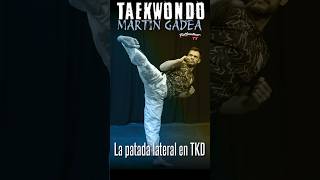 🦶La PATADA LATERAL en TAEKWONDO  Taekwondo ITF con MARTÍN GADEA en Full Contact TV [upl. by Dinse8]