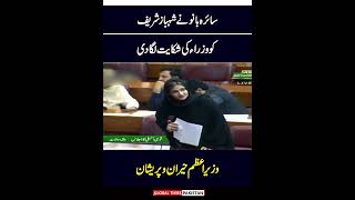 GDA Leader Saira Bano Aggressive Speech In National Assembly  Imran Khan  Global Times Pakistan [upl. by Ona]