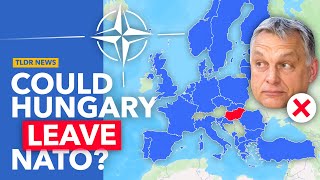 Why Orban Wants to quotRedefinequot Hungarys NATO Membership [upl. by Leggat]