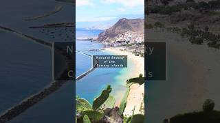 Exploring the Canary Islands Spain’s Tropical Paradise [upl. by Plank]