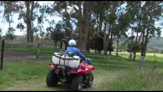 Quadbar ATV Roll bar test [upl. by Aldo591]