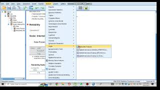 Cronbachs alpha test in SPSS  Pilot study  Reliability analysis in SPSS [upl. by Litt]