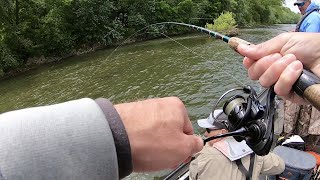 Fishing the Potomac River for BIG Smallmouth Bass [upl. by Brynne]