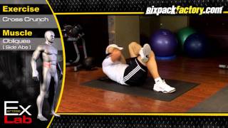 Cross Crunch  Best Oblique Exercises  Side Abs [upl. by Lisetta]