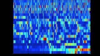 SCHIZOPHRENIA AS SOUND listening to the dynamic brain [upl. by Ahsea]