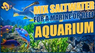 How To Mix Saltwater For Your Aquarium [upl. by Ileane264]