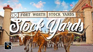 Fort Worth Stockyards  Cowboy Experience [upl. by Ahsiet590]